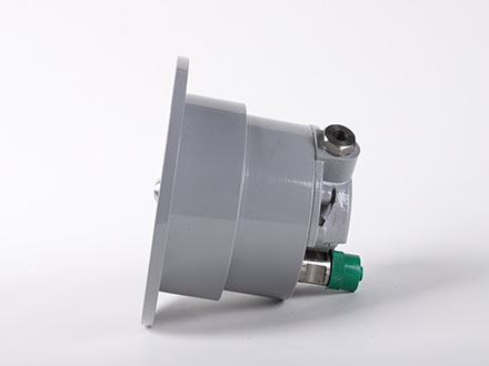YTX-100-BZT軸向帶邊防爆電接點壓力表                        
