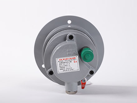 YTX-100-BZT軸向帶邊防爆電接點壓力表                        